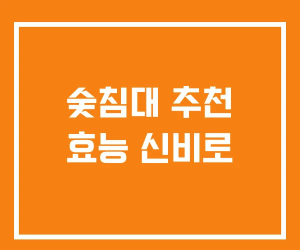 숯침대 추천 효능 신비로