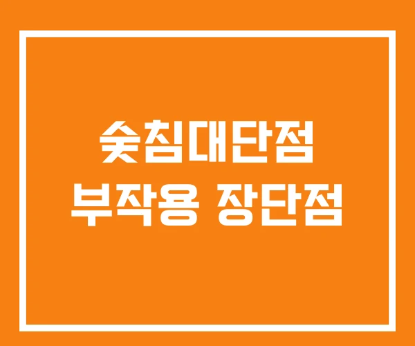 숯침대단점 부작용 장단점