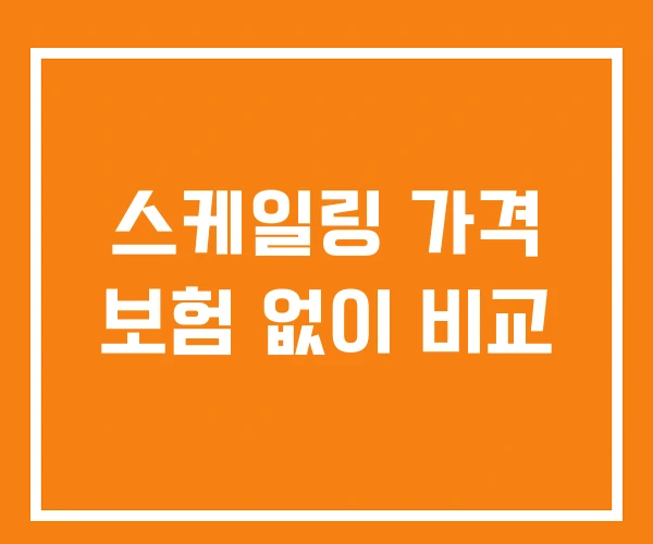 스케일링 가격 보험 없이 비교