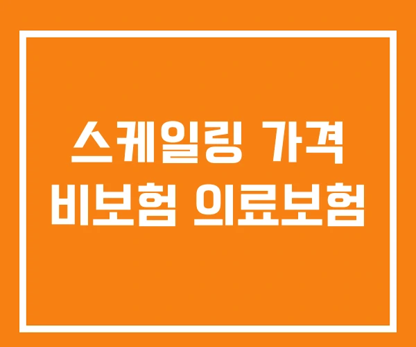 스케일링 가격 비보험 의료보험