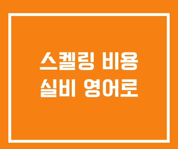 스켈링 비용 실비 영어로 스켈링 비용 실비 영어로