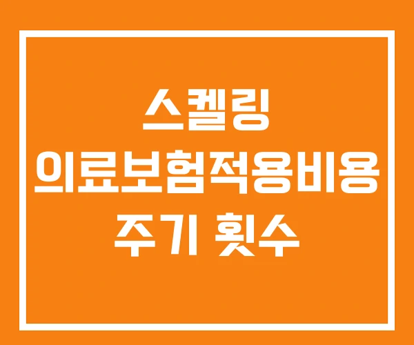 스켈링 의료보험적용비용 주기 횟수