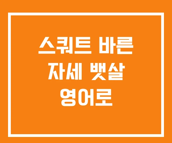 스쿼트 바른 자세 뱃살 영어로