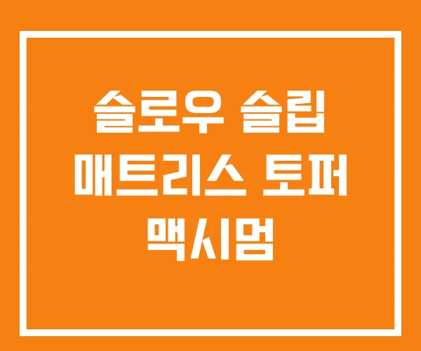 슬로우 슬립 매트리스 토퍼 맥시멈