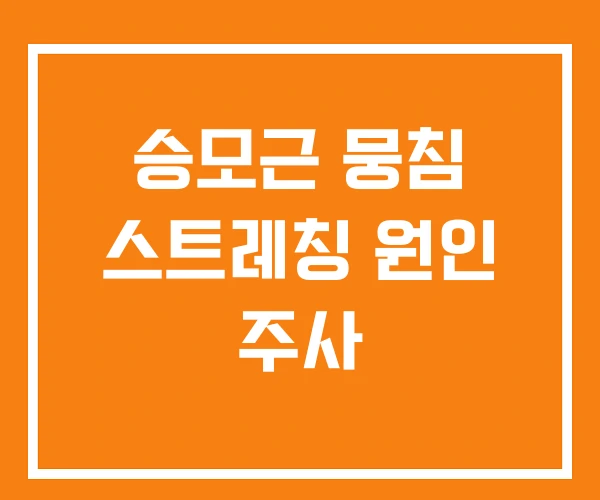 승모근 뭉침 스트레칭 원인 주사