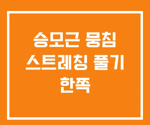 승모근 뭉침 스트레칭 풀기 한쪽