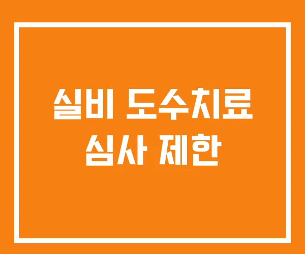 실비 도수치료 심사 제한