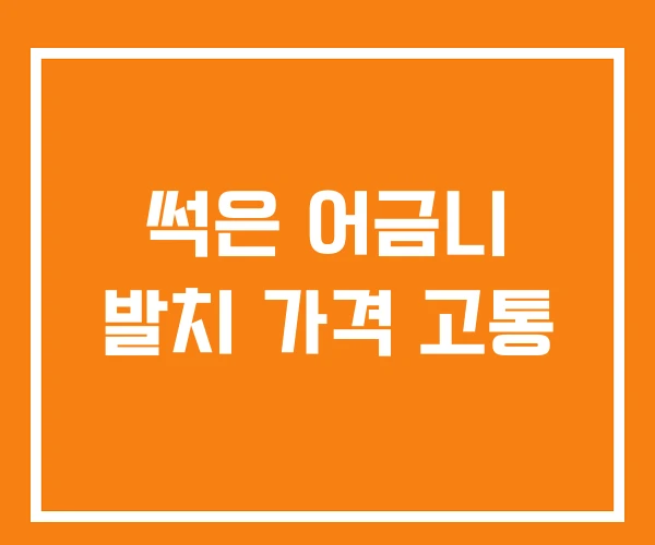 썩은 어금니 발치 가격 고통