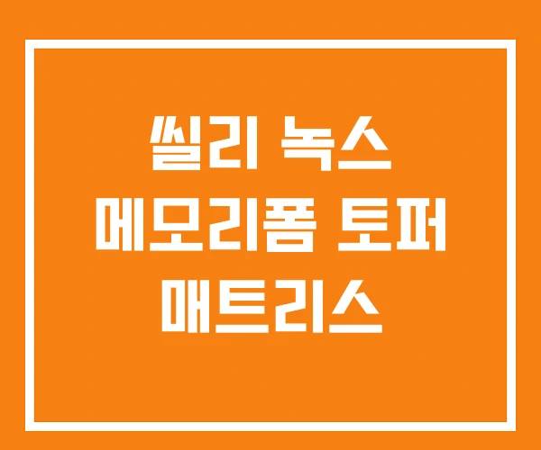 씰리 녹스 메모리폼 토퍼 매트리스 씰리 녹스 메모리폼 토퍼 매트리스