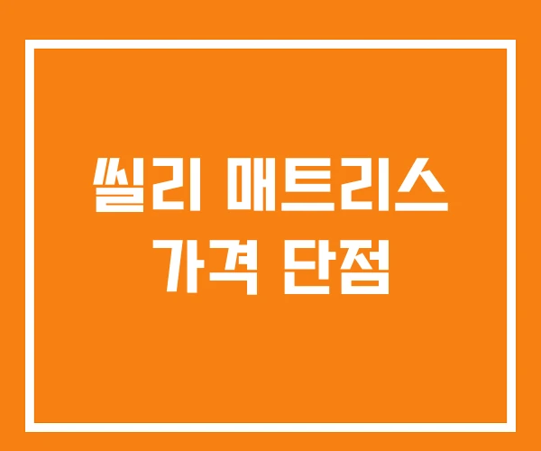 씰리 매트리스 가격 단점