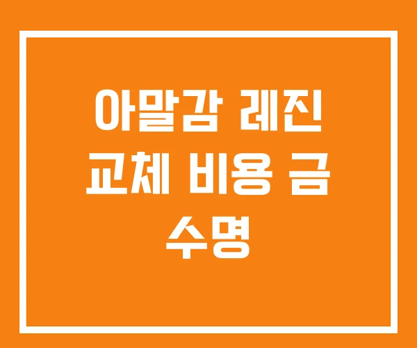 아말감 레진 교체 비용 금 수명 아말감 레진 교체 비용 금 수명