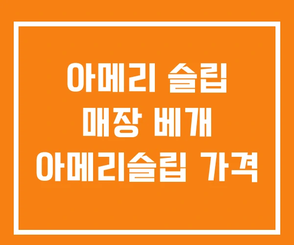 아메리 슬립 매장 베개 아메리슬립 가격