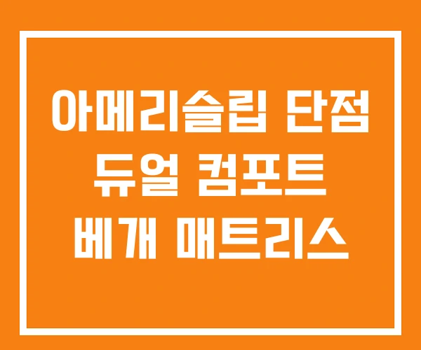 아메리슬립 단점 듀얼 컴포트 베개 매트리스