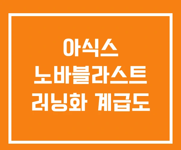 아식스 노바블라스트 러닝화 계급도 아식스 노바블라스트 러닝화 계급도