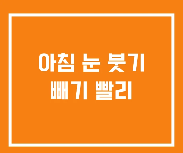 아침 눈 붓기 빼기 빨리 아침 눈 붓기 빼기 빨리