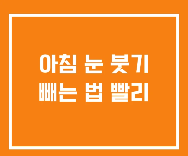 아침 눈 붓기 빼는 법 빨리 아침 눈 붓기 빼는 법 빨리