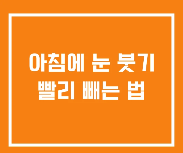 아침에 눈 붓기 빨리 빼는 법 아침에 눈 붓기 빨리 빼는 법
