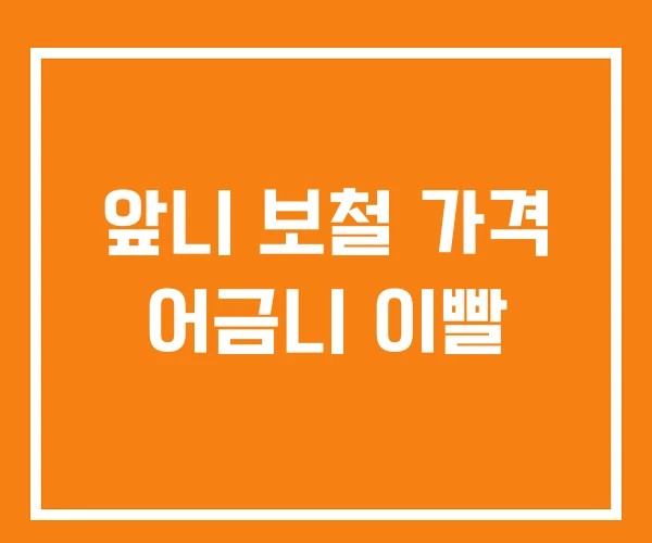 앞니 보철 가격 어금니 이빨