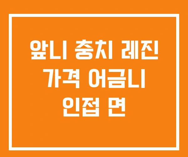 앞니 충치 레진 가격 어금니 인접 면