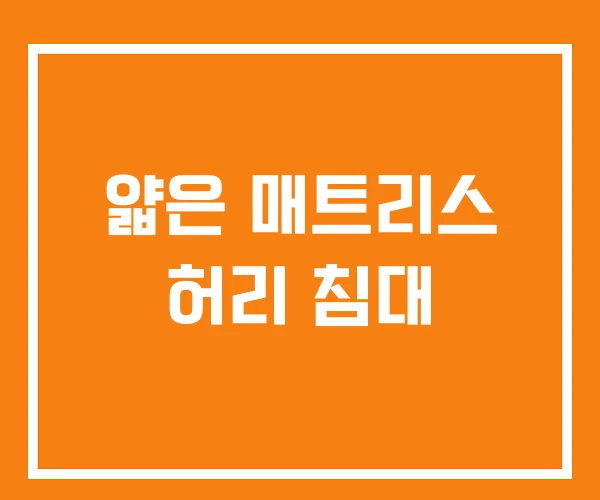 얇은 매트리스 허리 침대 얇은 매트리스 허리 침대