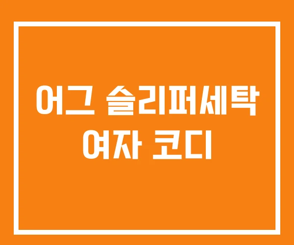 어그 슬리퍼세탁 여자 코디