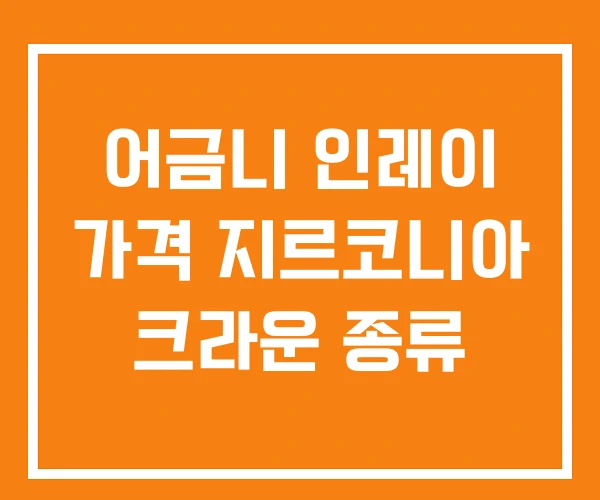 어금니 인레이 가격 지르코니아 크라운 종류 어금니 인레이 가격 지르코니아 크라운 종류