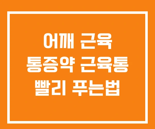 어깨 근육 통증약 근육통 빨리 푸는법 어깨 근육 통증약 근육통 빨리 푸는법