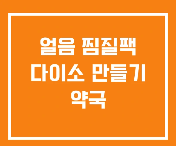 얼음 찜질팩 다이소 만들기 약국