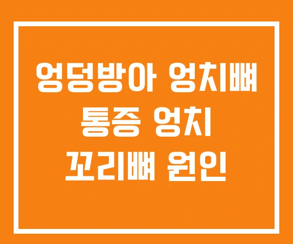 엉덩방아 엉치뼈 통증 엉치 꼬리뼈 원인