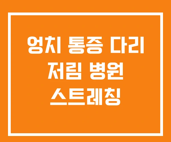 엉치 통증 다리 저림 병원 스트레칭 엉치 통증 다리 저림 병원 스트레칭