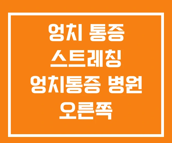 엉치 통증 스트레칭 엉치통증 병원 오른쪽