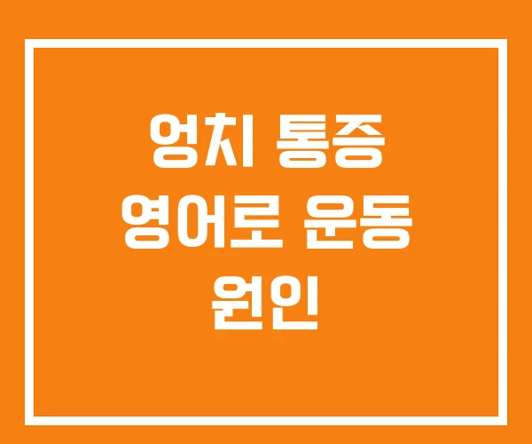 엉치 통증 영어로 운동 원인 엉치 통증 영어로 운동 원인