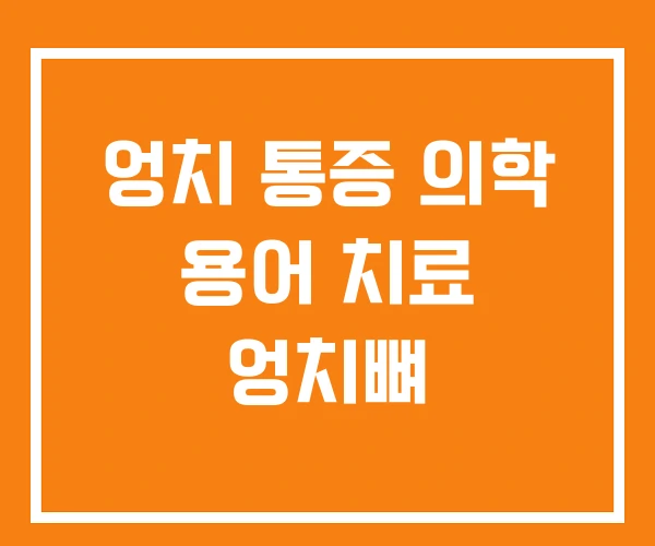 엉치 통증 의학 용어 치료 엉치뼈 엉치 통증 의학 용어 치료 엉치뼈