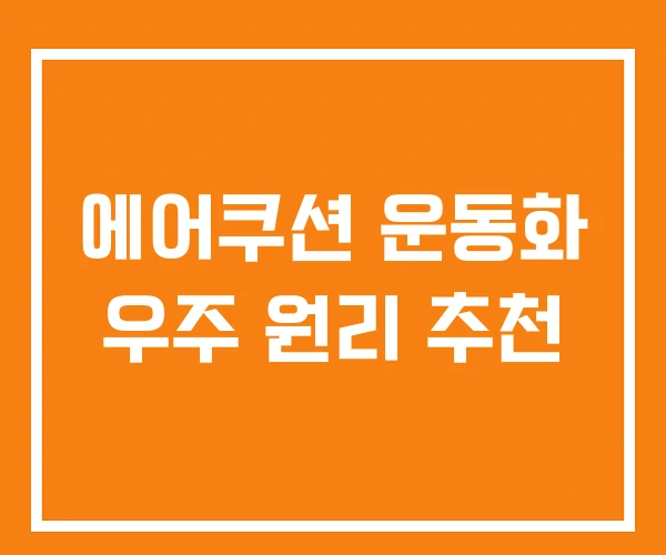 에어쿠션 운동화 우주 원리 추천