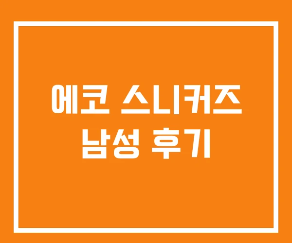 에코 스니커즈 남성 후기 에코 스니커즈 남성 후기