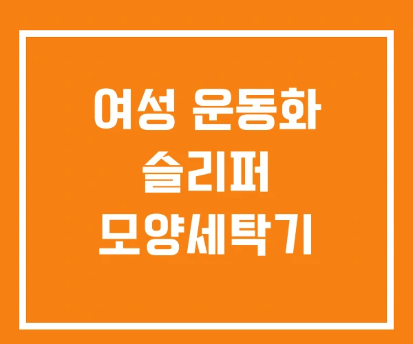 여성 운동화 슬리퍼 모양세탁기