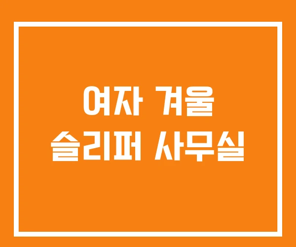 여자 겨울 슬리퍼 사무실 여자 겨울 슬리퍼 사무실