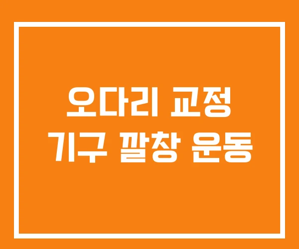 오다리 교정 기구 깔창 운동 오다리 교정 기구 깔창 운동