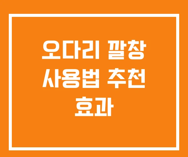 오다리 깔창 사용법 추천 효과