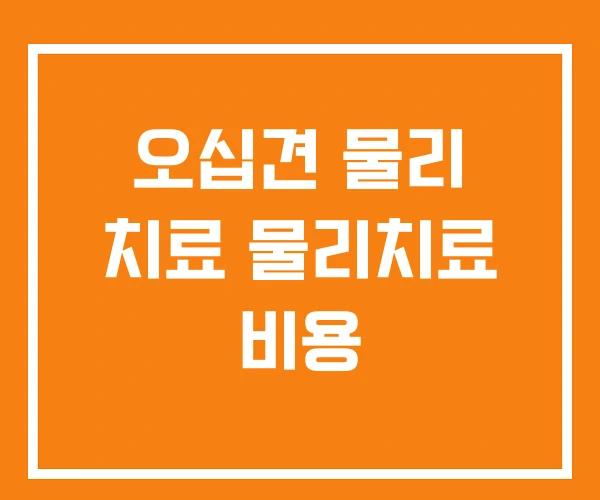 오십견 물리 치료 물리치료 비용 오십견 물리 치료 물리치료 비용