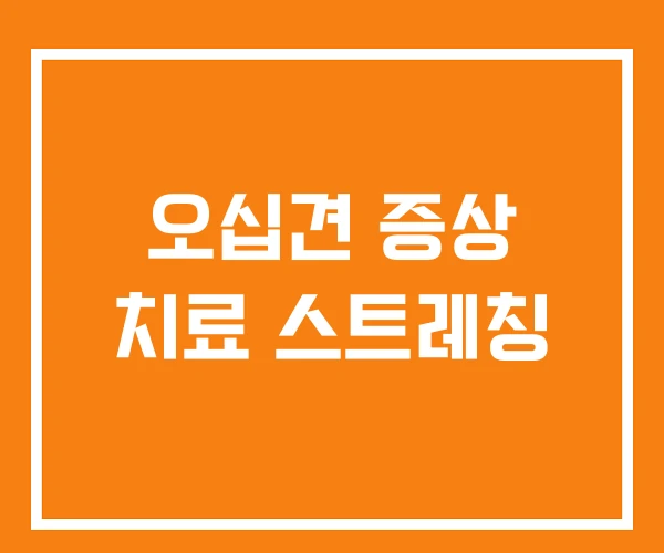오십견 증상 치료 스트레칭 오십견 증상 치료 스트레칭