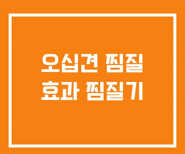 오십견 찜질 효과 찜질기 오십견 찜질 효과 찜질기