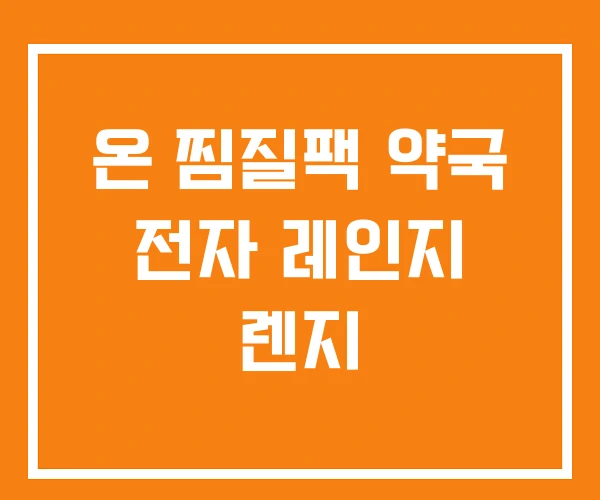 온 찜질팩 약국 전자 레인지 렌지 온 찜질팩 약국 전자 레인지 렌지