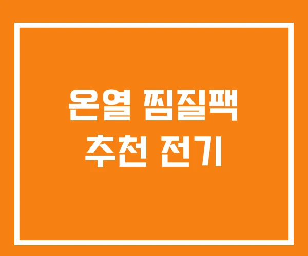 온열 찜질팩 추천 전기
