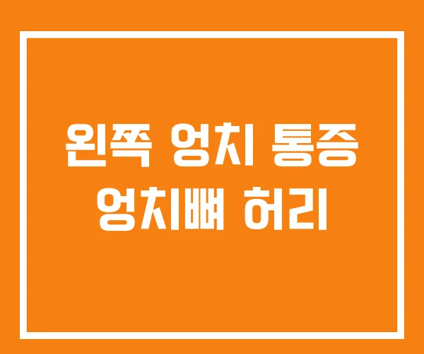 왼쪽 엉치 통증 엉치뼈 허리 왼쪽 엉치 통증 엉치뼈 허리