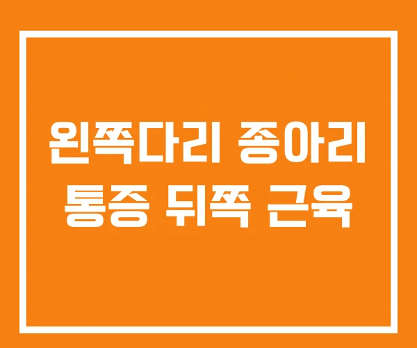 왼쪽다리 종아리 통증 뒤쪽 근육