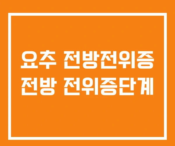 요추 전방전위증 전방 전위증단계 요추 전방전위증 전방 전위증단계