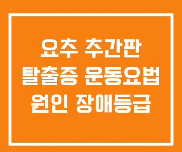 요추 추간판 탈출증 운동요법 원인 장애등급