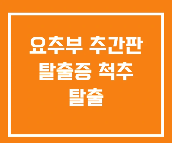 요추부 추간판 탈출증 척추 탈출
