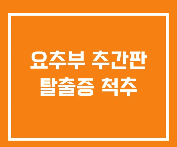 요추부 추간판 탈출증 척추